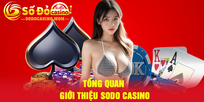 Tổng Quan Giới Thiệu Sodo casino
